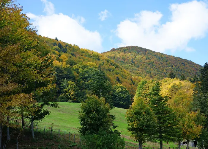 Hotel Monastero Sant'alberico Relais Balze
